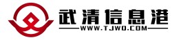 武清信息港